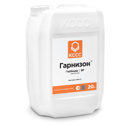 Гарнизон