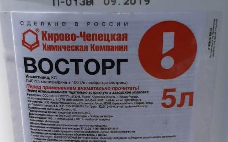 Соя культурная